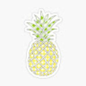 Meet your Posher, Rivkah